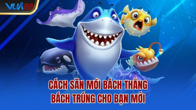 Cách săn mồi bách thắng bách trúng cho bạn mới