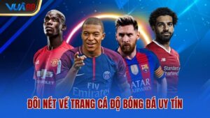 doi-net-ve-trang-ca-do-bong-da-uy-tin