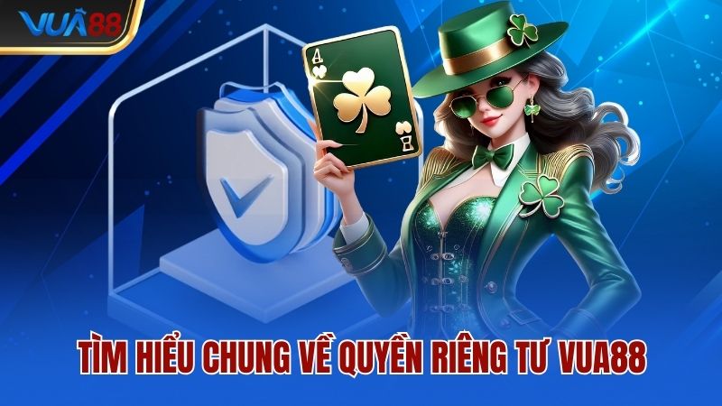 Tìm hiểu chung về quyền riêng tư Vua88